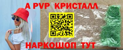 PSILOCYBIN Нальчик