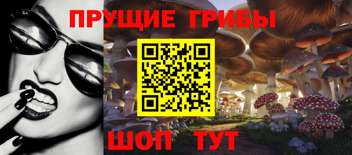 Псилоцибиновые грибы Cubensis  Галлюциногенные грибы ЛСД  Вход с VPN  Тверь 