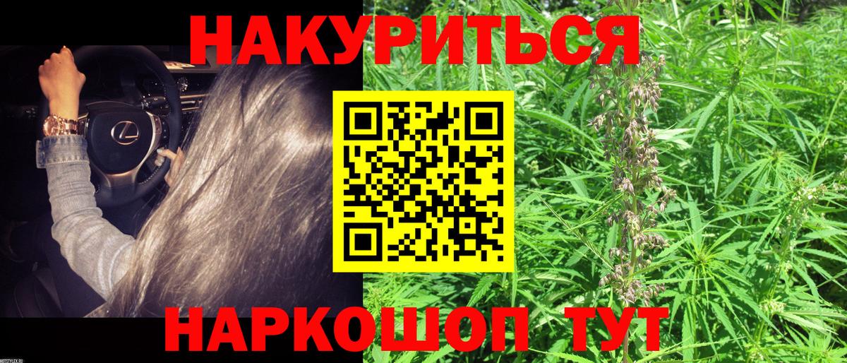 Конопля планчик  Вход с VPN  МАРИХУАНА тримм  Тверь 