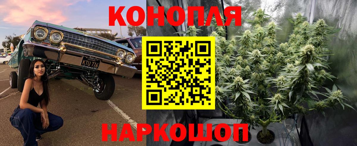 Канабис Amnesia Тверь